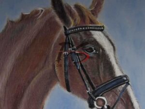 Bella - Original Pastel Painting