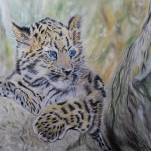 Sapphire - Original Pastel Painting