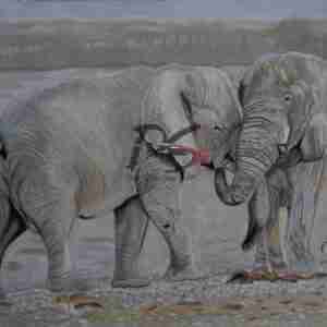 Unconditional Love - Fine Art Paper Print